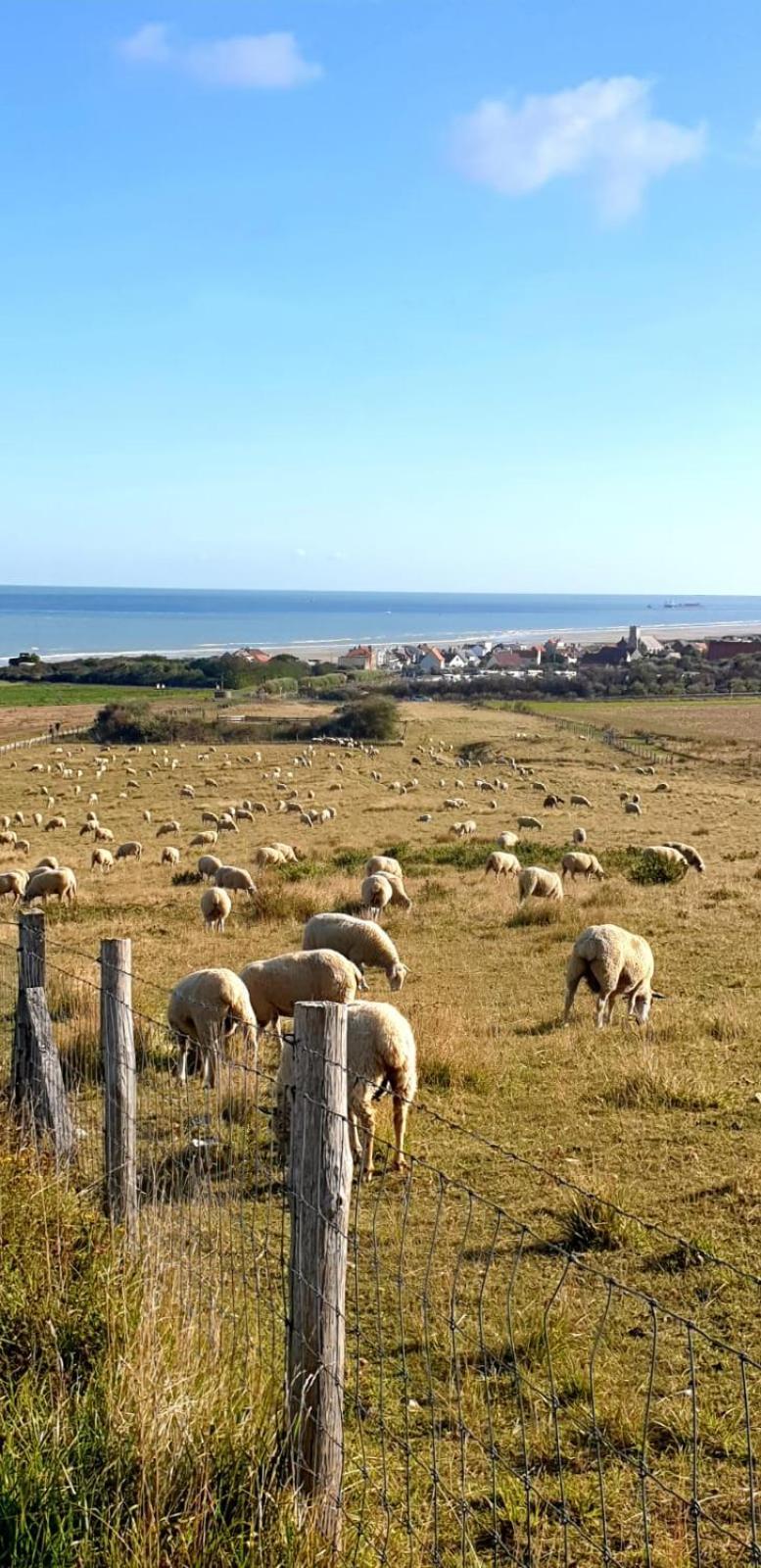 Au Kaycedra Leilighet Calais Eksteriør bilde
